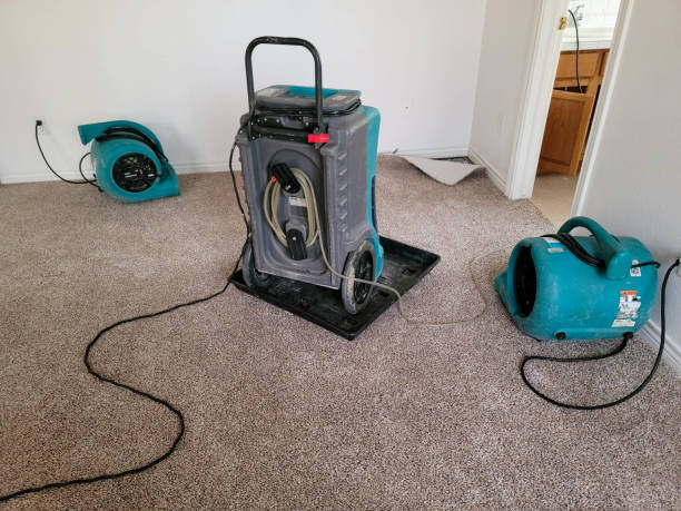 Best Water damage cleanup near me  in Tuckahoe, VA