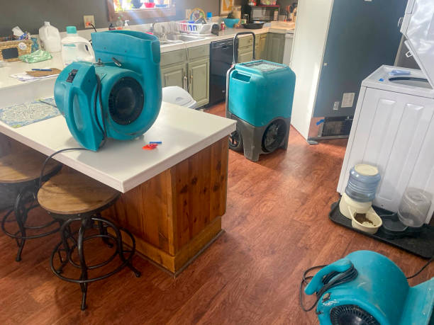 Best Flood damage cleanup  in Tuckahoe, VA