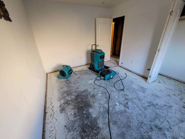 Best Flood restoration services  in Tuckahoe, VA