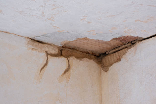 Best Fire Damage Restoration  in Tuckahoe, VA