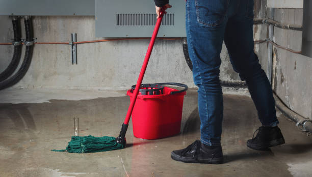 Best Professional water damage repair  in Tuckahoe, VA
