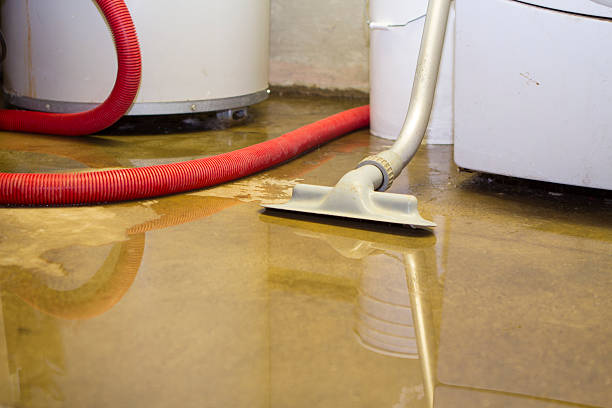 Trusted Tuckahoe, VA Water damage restoration Experts