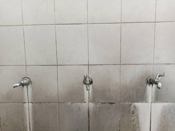 Best Emergency water damage restoration  in Tuckahoe, VA
