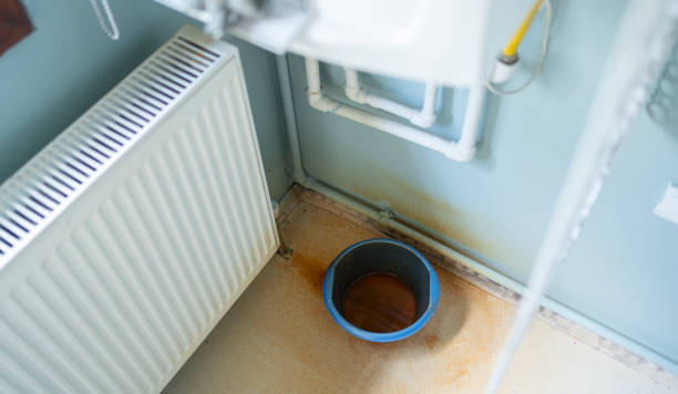 Best Mold removal after water damage  in Tuckahoe, VA