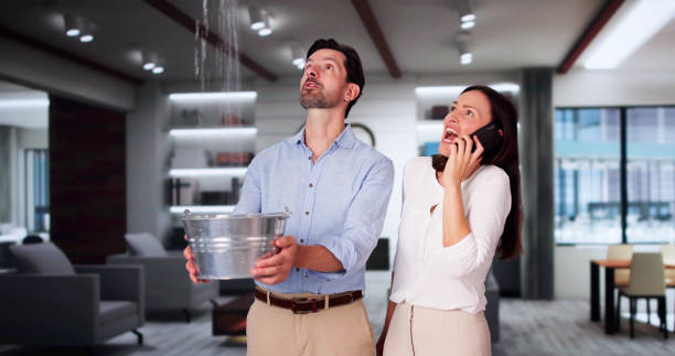 Best Basement water damage restoration  in Tuckahoe, VA